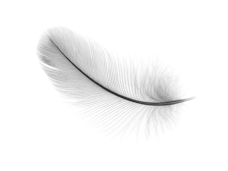 white feather